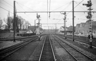 Sint-Truiden - BD-5144.jpg